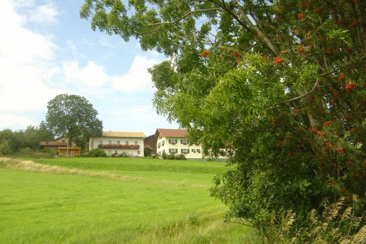 Apartamento Birkenhof Neukirchen beim Heiligen Blut Exterior foto